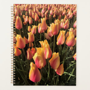 Agenda Tulipanes rosa y amarillo bonito