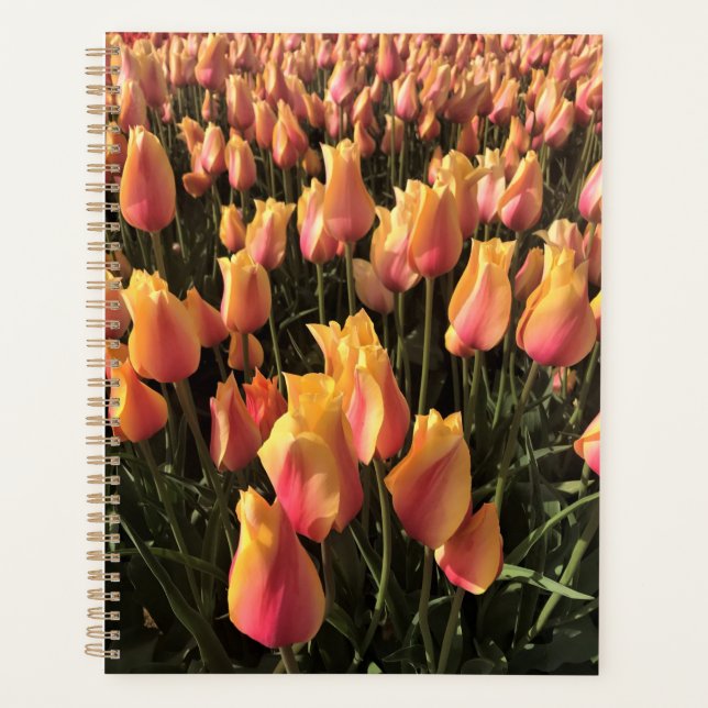 Agenda Tulipanes rosa y amarillo bonito (Anverso)