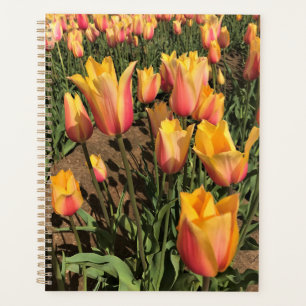 Agenda Tulipanes rosados y amarillos