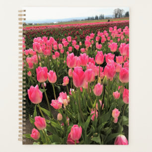 Agenda Tulipanes rosados y rojos en un campo, Oregón
