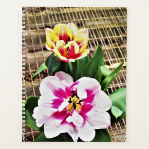 Agenda Tulipanos rosas/amarillos de Lg Planner