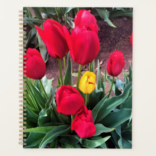 Agenda Un amarillo con tulipanes rojos