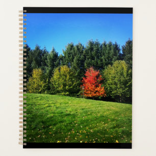 Agenda Un árbol rojo