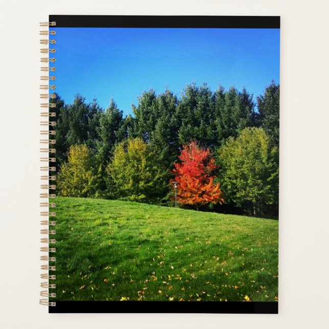 Agenda Un árbol rojo (Anverso)