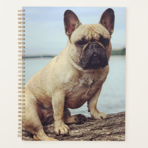 Agenda Un Bulldog francés
