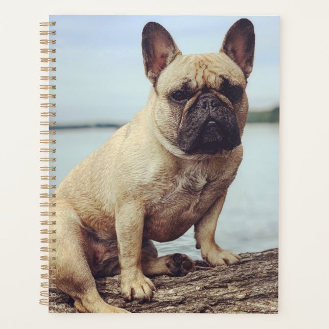 Agenda Un Bulldog francés (Anverso)
