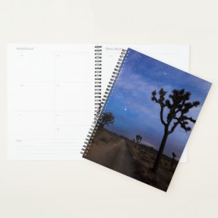 Agenda Un camino desierto y árboles de Joshua de noche