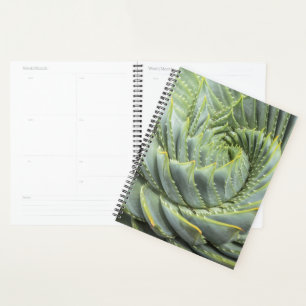 Agenda Un éxito verde y blanco