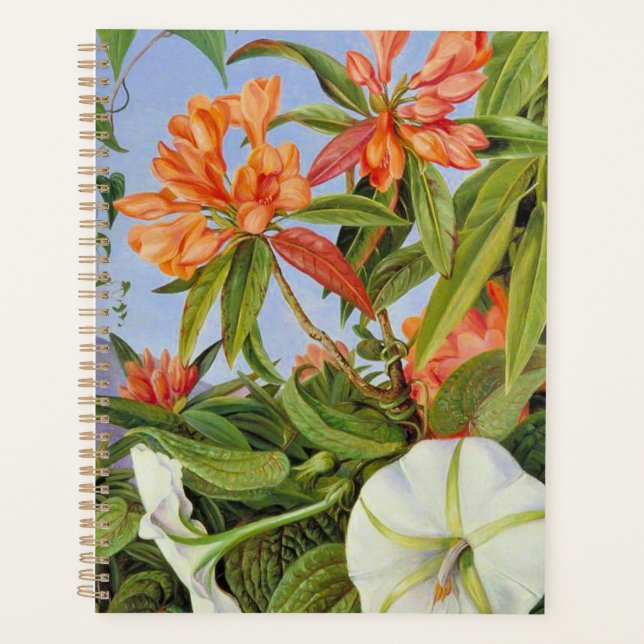 Agenda Un Javan Rhododendrum y Ipomoea (Anverso)