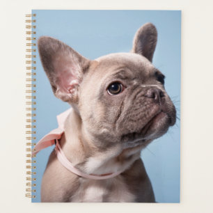 Agenda Un lindo Bulldog francés