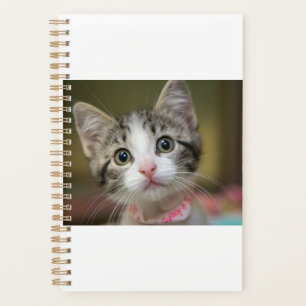 Agenda Un lindo gatito con ojos verdes