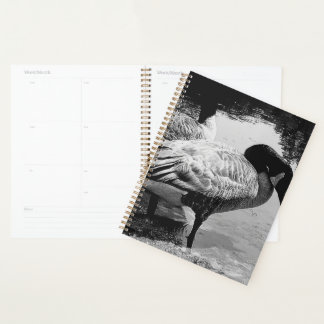 Agenda Un momento tranquilo en geo negro y blanco cerca d