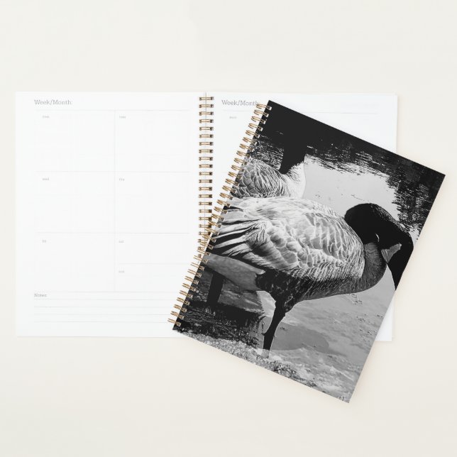 Agenda Un momento tranquilo en geo negro y blanco cerca d (Demostración)