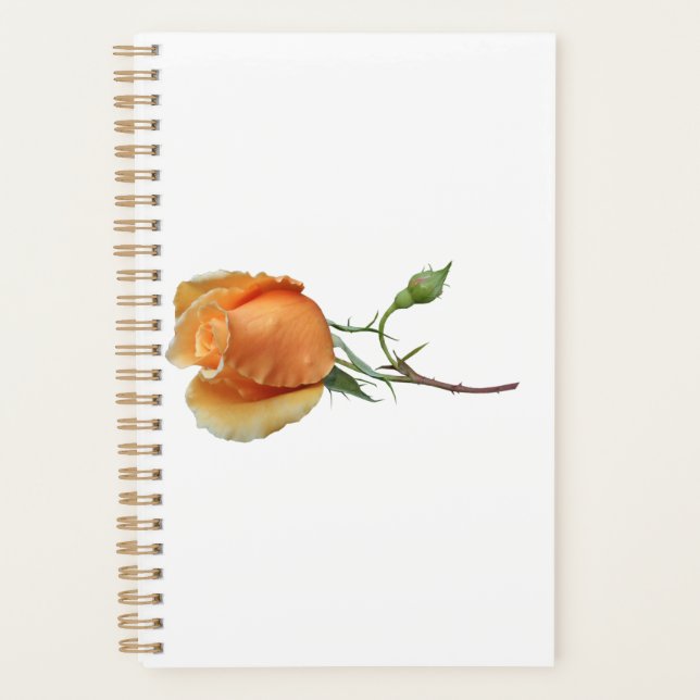 Agenda Un único corte de rosa (Anverso)