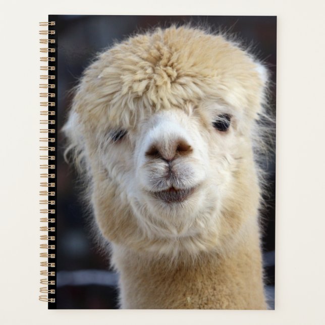Agenda Una cara adorable y esponjosa de una alpaca (Anverso)