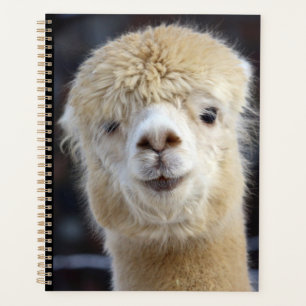 Agenda Una cara linda y esponjosa de una alpaca