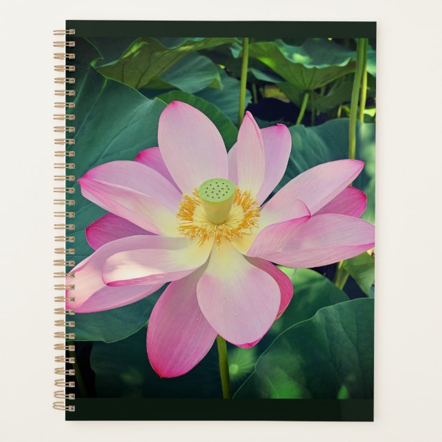 Agenda Una flor de loto vibrante (Anverso)
