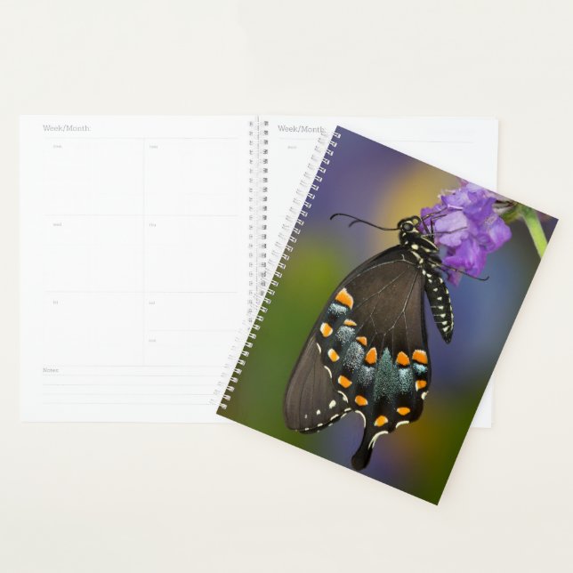 Agenda Una mariposa de azufre (Demostración)