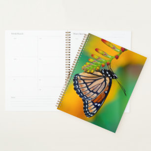 Agenda Una Mariposa Monarca sobre Flores