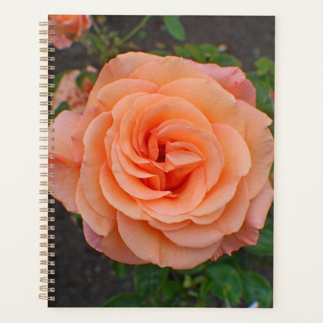 Agenda Una sola flor de naranja (Anverso)