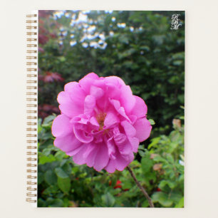 Agenda Una Sola Flor Rosa