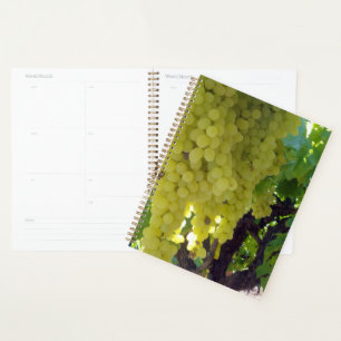 Agenda Uvas De Sultana En Un Vino De Uva,