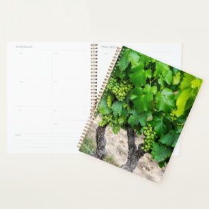 Agenda Uvas para vino en crecimiento, Francia