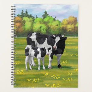 Agenda Vaca Holstein y ternera en salsa de verano
