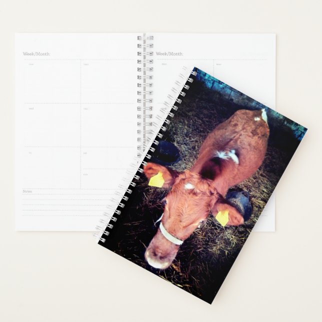 Agenda Vaca marrón (Demostración)