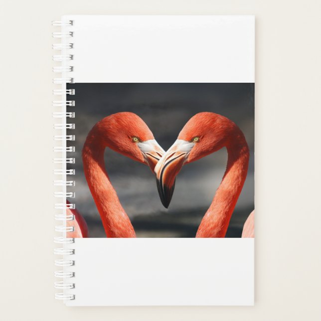 Agenda Valentine Flamingo (Anverso)