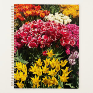 Agenda Variedad de tulipanes