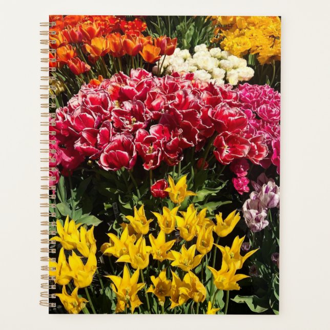 Agenda Variedad de tulipanes (Anverso)