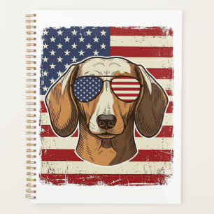 Agenda Vector de gafas de sol con bandera patriótica vint