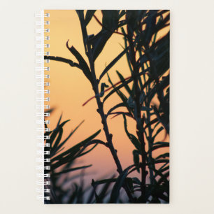 Agenda Vegetación al atardecer