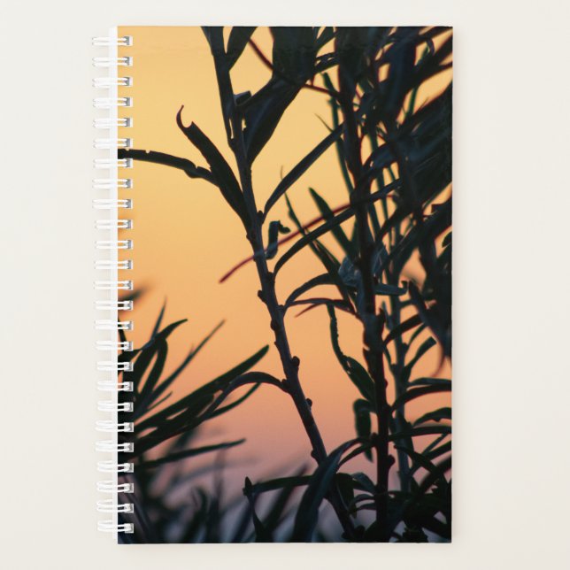Agenda Vegetación al atardecer (Anverso)