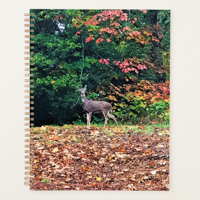 Agenda Venado en el bosque, Oregón (Anverso)
