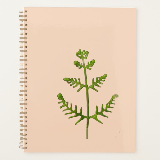 Agenda verde primavera (Anverso)