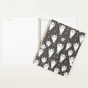 Agenda Vibes de gatos curas