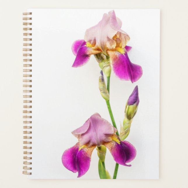 Agenda Vibrant pink and purple iris Planner (Anverso)