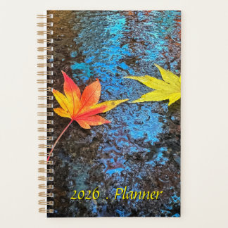 Agenda Vibrant Red and Yellow Fallen Maple Leaves