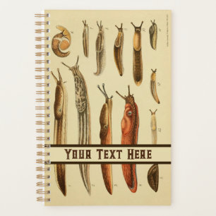 Agenda Vibrante historia natural del Ilustracion de barri