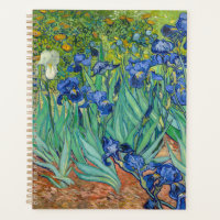 Vincent Van Gogh - Irises