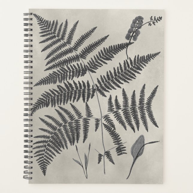 Agenda Vintage Ferns (Anverso)