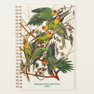 Agenda Vintage Parrots ilustracion Bird Lover Gift