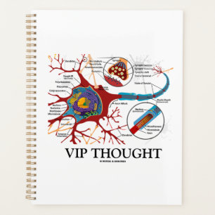 Agenda VIP Pensamiento Neurona Sinapsis Neurotransmisor H