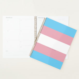 Agenda Visibilidad de la bandera del orgullo transgénero 