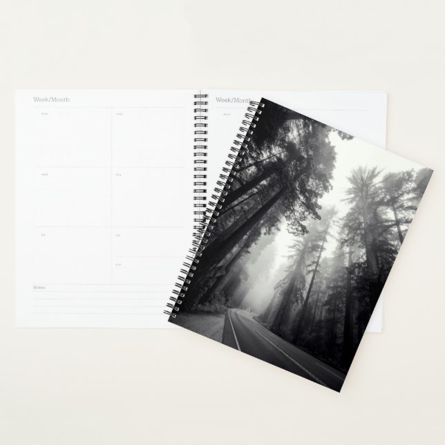 Agenda Vista De Árboles De Secuoyas En Bosques (Demostración)