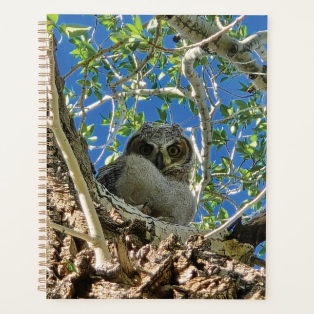 Agenda Watching You Planner (Anverso)