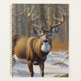 Agenda Whitetail