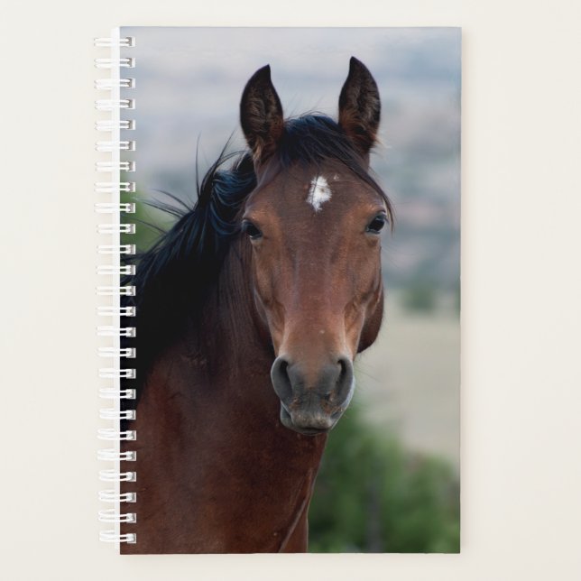 Agenda Wild Horse Planner (Anverso)